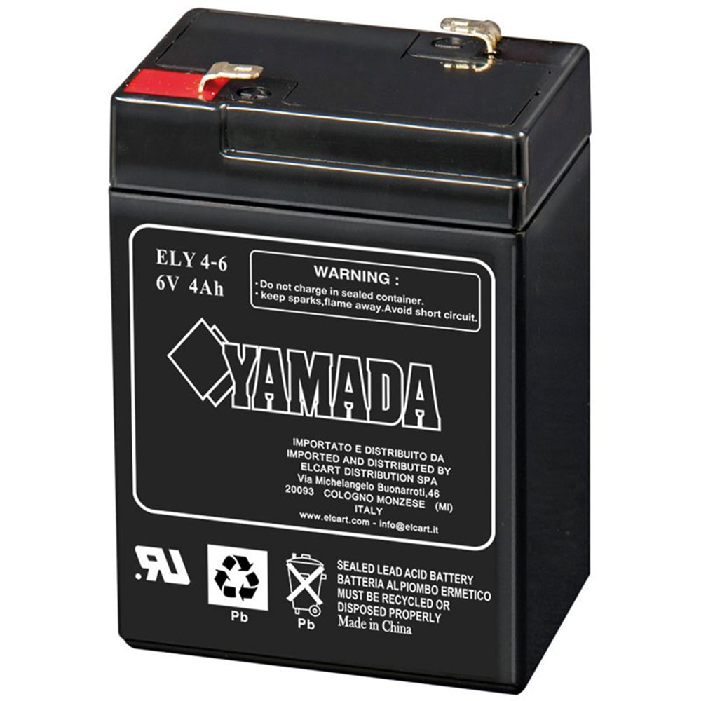 Batteria ermetica al piombo 6V 4Ah (per lampada d