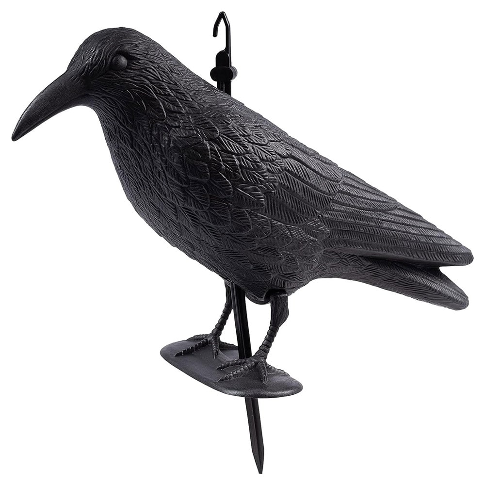 Corvo scaccia piccioni in plastica statuetta corvo finto dissuasore spaventapasseri